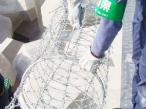 モトヤマ 円形有刺鉄線(空港)