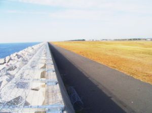 モトヤマ 円形有刺鉄線(空港)