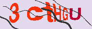 Captcha認証コード